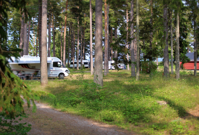 Vitvikens café & camping Gotland