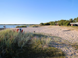 Nissevikens strand
