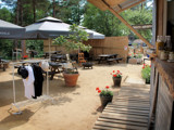 SunTrip Bar