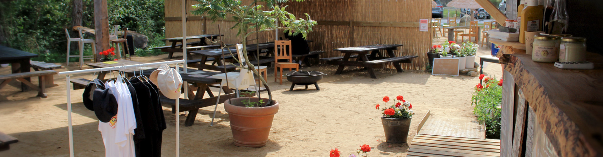 SunTrip Bar