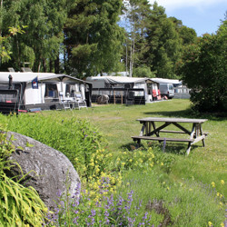 Ljugarn Semesterby & Camping 3