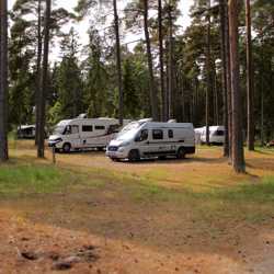 Vitviken café & Camping på Gotland