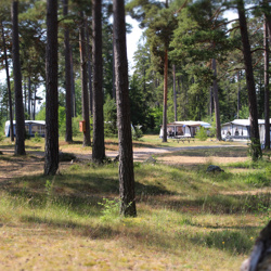 Vitviken café & Camping på Gotland