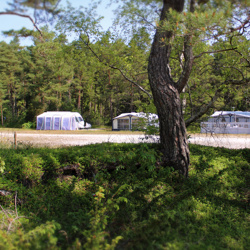Vitviken café & Camping in Gotland