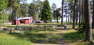 Vitvikens Café & Camping